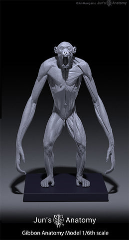 Gibbon Anatomy Model open-mouth "Roar" head