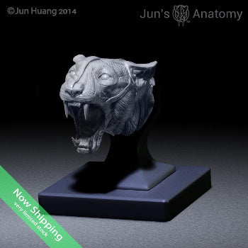 Leopard Anatomy Model open-mouth "Roar" head