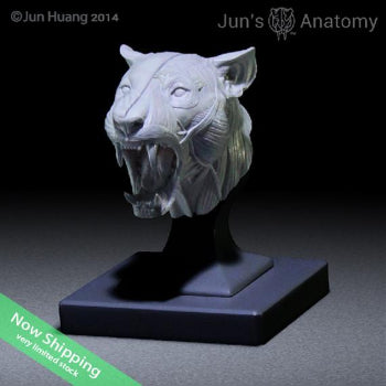 Lion Anatomy Model open-mouth "Roar" head (also works great as a pend holder!)