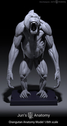 Orangutan Anatomy Model open-mouth "Roar" head