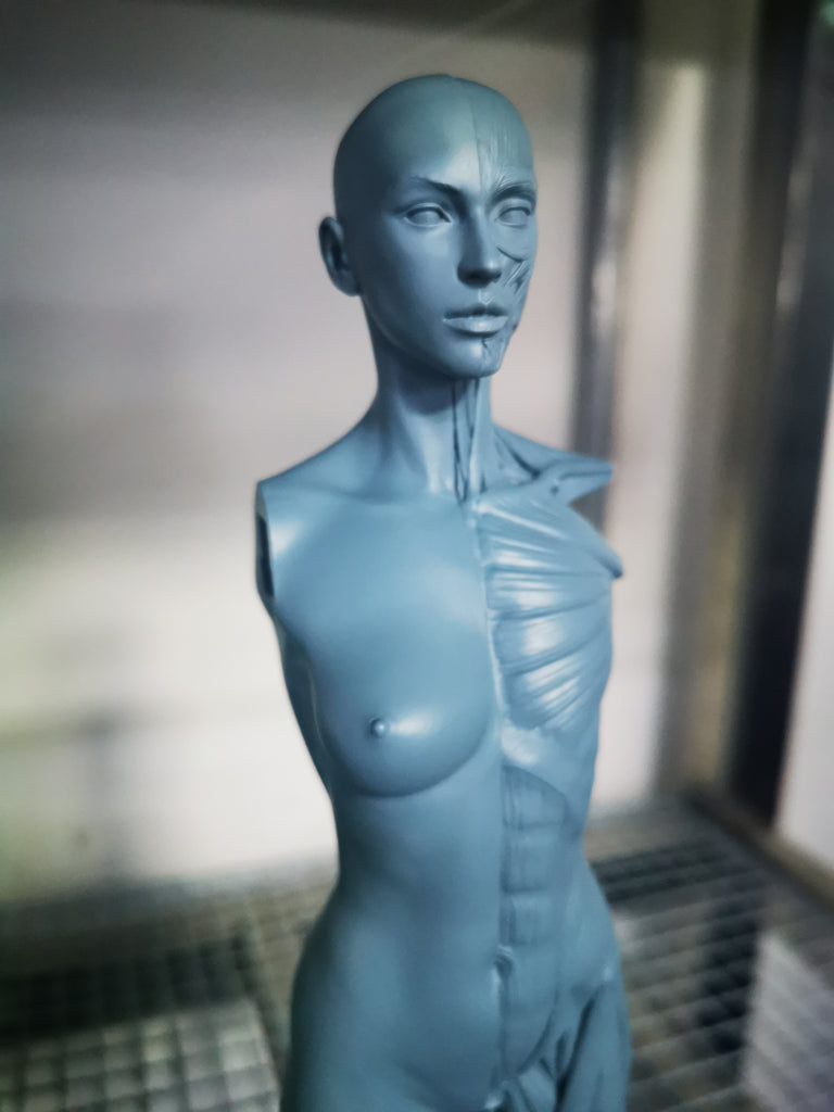 human female models production photos  Nov. 23rd, 2020