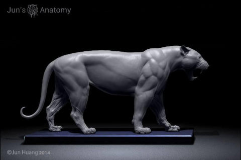 Tiger Anatomy Model open-mouth "Roar" head