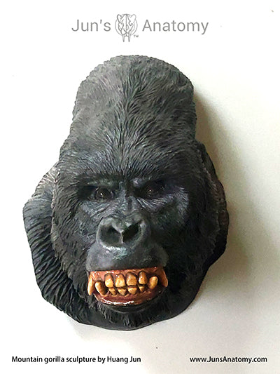 Mountain gorilla wall hanger (faux taxidermy) Jun's Deco