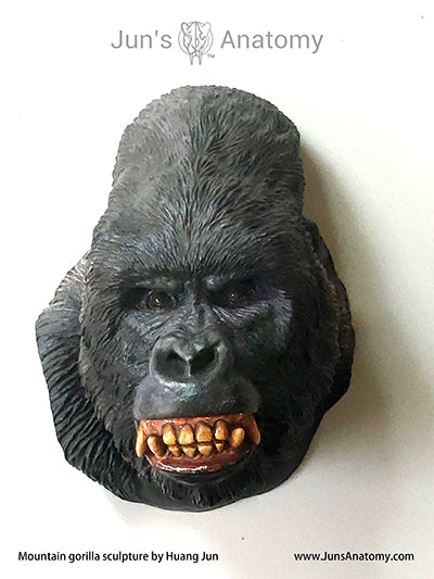 THEGIS Poster artistico su tela con motivo gorilla che dà il dito medio, decorazione per camera da letto, sport, ufficio, camera da letto, regalo, senza cornice, 30 x 45 cm THEGIS Poster artistico su tela con motivo gorilla che dà il dito medio, decorazione per camera da letto, sport, ufficio, camera da letto, regalo, senza cornice, 30 x 45 cm