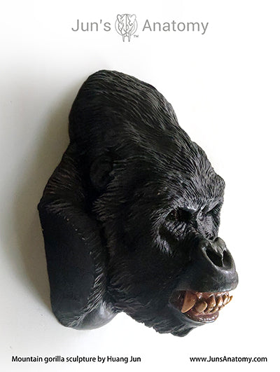 Mountain gorilla wall hanger (faux taxidermy) Jun's Deco