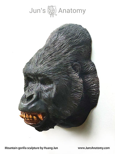 Mountain gorilla wall hanger (faux taxidermy) Jun's Deco
