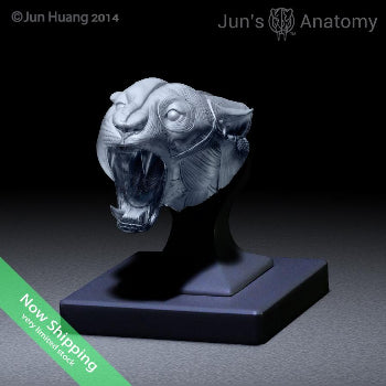 Jaguar Anatomy Model open-mouth "Roar" head