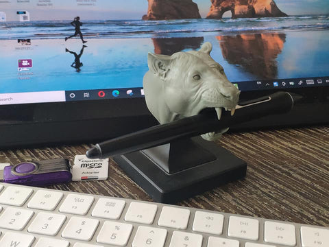 Lion Anatomy Model open-mouth "Roar" head (also works great as a pend holder!)