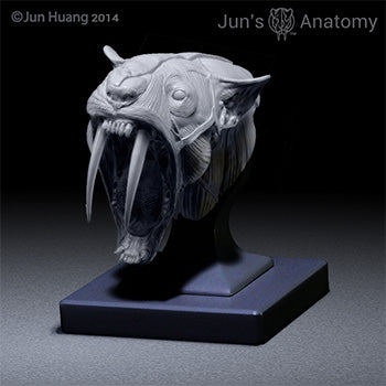 Smilodon Anatomy Model open-mouth "Roar" head