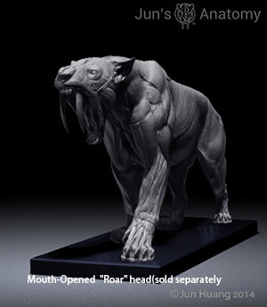 Smilodon Populator "Saber-tooth Cat" Anatomy model 1/6th scale - flesh & superficial muscle