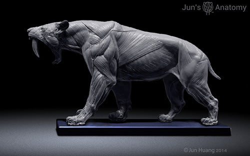 Smilodon Anatomy Model open-mouth "Roar" head