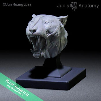 Tiger Anatomy Model open-mouth "Roar" head